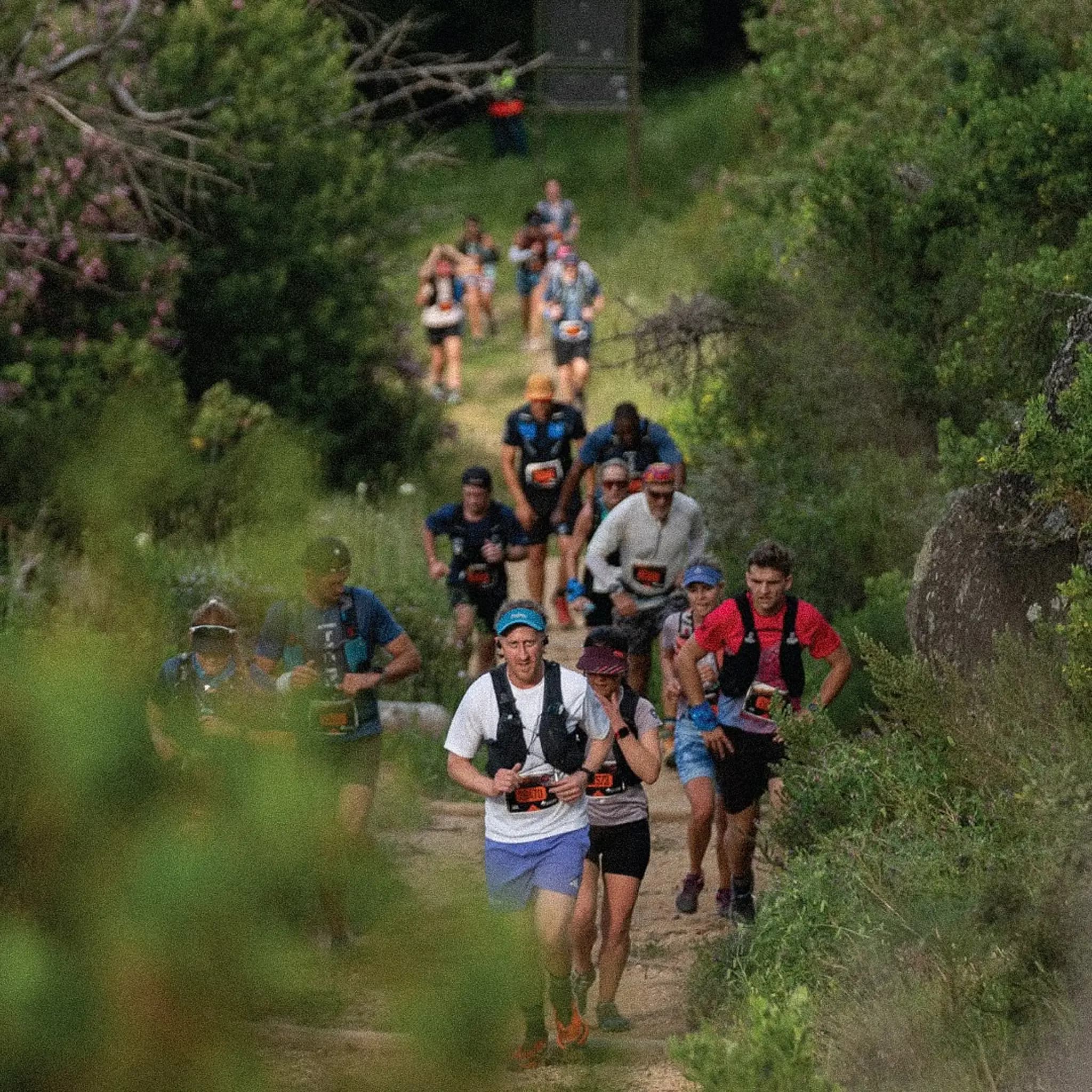 10–16 km | Observatory → Mowbray → Claremont/Rondebosch